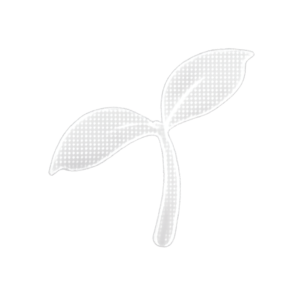 seed